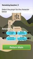 Poster Memorize Learn Chinese Pro