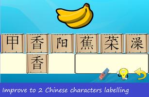 Pictorial Chinese Study Poster