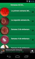 Semanas de Embarazo Poster