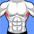 Serratus anterior - Scapula ไอคอน