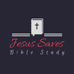 Bible Study Daily icon
