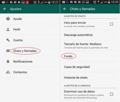 como cambiar fondo de whataps Screenshot 1