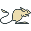 Jerboa for Lemmy APK