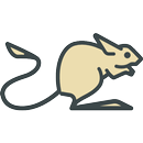 Jerboa for Lemmy APK