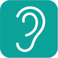Visual ear spoon