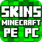 Skins pour Minecraft Gratuit icône