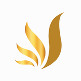 TJ GOLD 图标