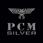 PCM Silver icône