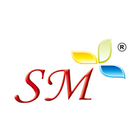 SM Silver ícone