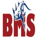 BMS Safe APK