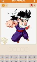 Saiyan Quiz โปสเตอร์