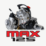Carburazione per Rotax Max Kar