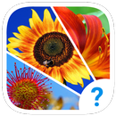 4 clues: word search game APK