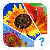 4 clues: word search game 图标