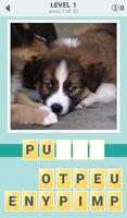 پوستر 4 clues: word search game