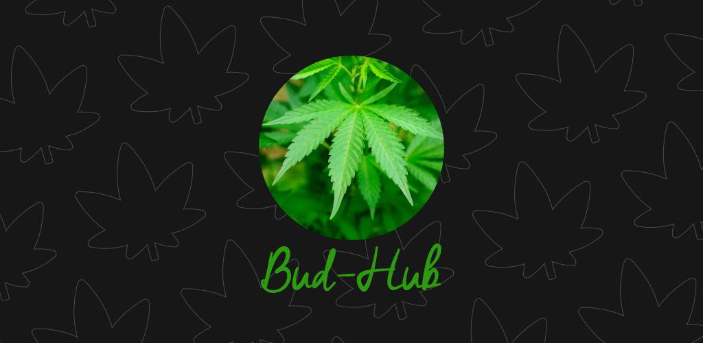 Bud-Hub APK for Android Download