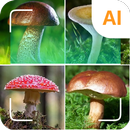 Paddenstoel identificatie-APK