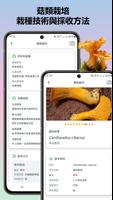 蘑菇識別器 截圖 3