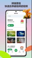蘑菇識別器 海報