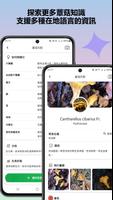 蘑菇識別器 截圖 1