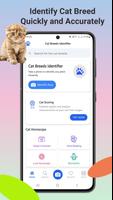 Идентификатор кота постер