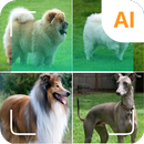 معرف الكلاب APK