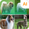 Dog id - dog scanner APK