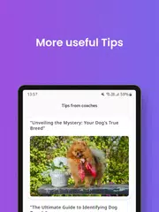 Скачать Идентификатор собак XAPK