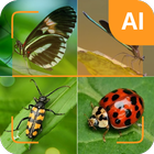 Identification des insectes icône