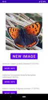 Insect identifier gönderen