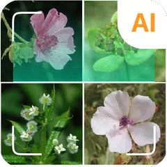 植物識別子 アプリダウンロード