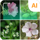 Plant identifier আইকন