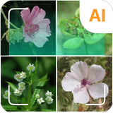 Plant identifier