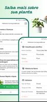 Identificador de plantas imagem de tela 2
