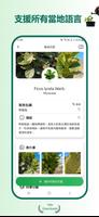 植物识别器 截图 1