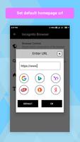 Secure Incognito Browser screenshot 1