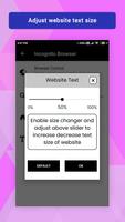 Secure Incognito Browser screenshot 2