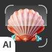 Shell identifier icon