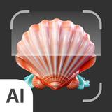 Shell identifier icon