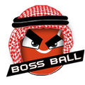 كرة المعلم