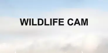 WILDLIFE CAM