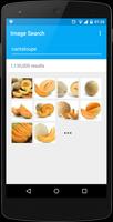 Image Search captura de pantalla 1
