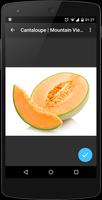 Image Search captura de pantalla 2