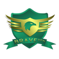 BRAVE PANEL