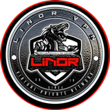 Linor VPN 2.0 icono
