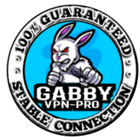GABBY VPN-PRO 图标