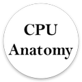 CPU Anatomy