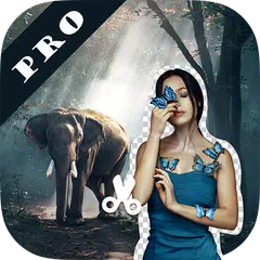 Auto Cut Out Pro