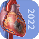 3D生理和病理学 APK