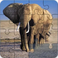 Animali Jigsaw Puzzles